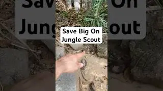 50% OFF Jungle Scout Coupon Code