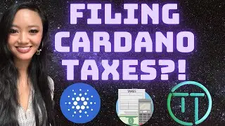 Cardano Crypto Taxes Made Simple! // Introducing TapTax