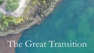 The Great Transition | A Journey from Deep Blue to Forest [No Talking]