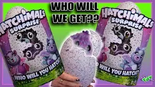 HATCHIMALS SURPRISE 2017! Who's INSIDE? Help Us NAME Them!