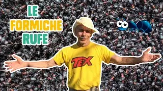 GIOVA LOVES NATURE 🌳 - Ep.18 - Il nido delle FORMICHE RUFE 🐜