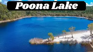 Poona Lake Hike in Rainbow Beach | Freshwater Swimming & Rainforest Exploring | Queensland