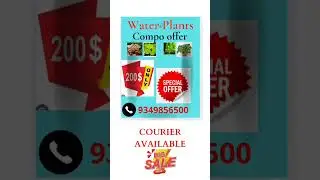 water plan Combo Offer #plants #onlineplants