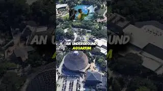 The BIGGEST Zoo in the USA Will Blow Your Mind! 😱 #UnitedStates #USA #GeoFacts #GeoUSA #Geography