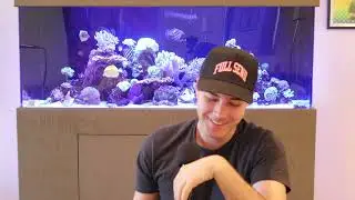 What is love? | Around the Reef | Ep. 3
