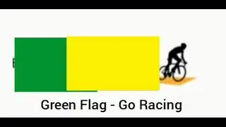 Racing Flags Simplified!