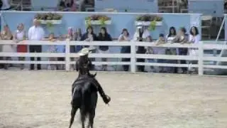 Stacy Westfall Explains Bridleless Reining at Devon 2010