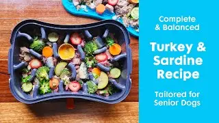 Complete and Balanced Homemade Dog Food Tailored for Senior Dogs | With Super Feedy