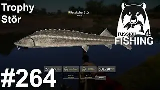 Trophy St&ouml;r Drill an der Achtuba 🎣🐋 | Russian Fishing 4 #264 | Deutsch | UwF