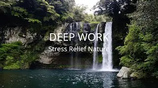 Instant Calm: Gentle Stream & Piano Music 🌿 Bio-Atmosphere for Stress Relief & Deep Work