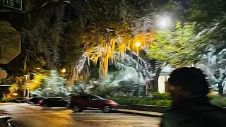 Mood of Earth - Under The Orange Sea (Visuals)