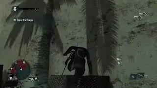Petting Animals in AC Black Flag