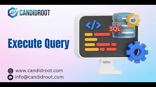 Execute Query | CandidRoot Solutions