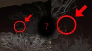 العثور ع فتاه في جبل مسحوره💀👻