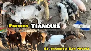 Como están los precios en el Tianguis, El Salvador 🇸🇻 #elsalvador #animales 