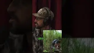 PYTHON HUNTING with &lsquo;Python Cowboy&rsquo; on The Joe Rogan Experience #podcast #joerogan #hunting #clips