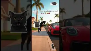When bachata meets a Porsche #cat #cats #catshorts #car #bachata #porsche