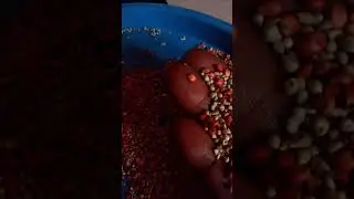learn how to do babypap stay tuned for the video #millet #soyabean  #babyfood #short