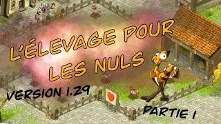 L'ELEVAGE POUR LES NULS, VERSION 1.29 | PARTIE 1 | DOFUS RETRO