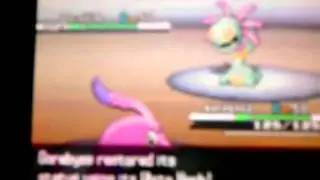 This fight is illegal by Smogon standards