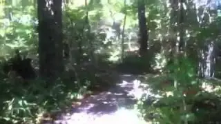 Imochannel