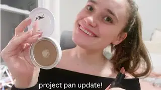 January Project Pan Update!