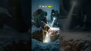 Golden Retriever Found After a Week Lost on Mountain&mdash;This Reunion Will Give You Chills