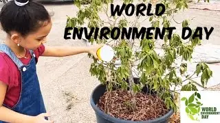 World Environmental Day 2020 Special | What is World Environmental Day | Esh In Vlogs