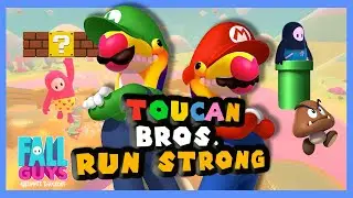 Fall Guys Funny Moments - The Toucan Brothers Run Strong!
