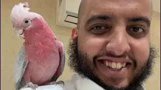 نحاول معه بالطيب 😂 #ابوسعيد 