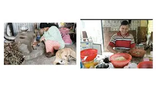 Nosto Chandra ke ?? Ajj  golpo sunbo ll  Drain ar systems chara gache bosalam terrace garden a