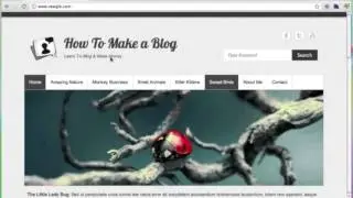 Learn How to Create an Amazing Blog Website!