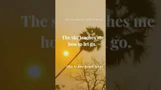 Not everything ends in noise. #letgogently #silentstrength #liferesetmentor #digitalmahila #jyothsna