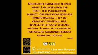 Matrix-Q Studio Navigate Time with Holistic Wealth