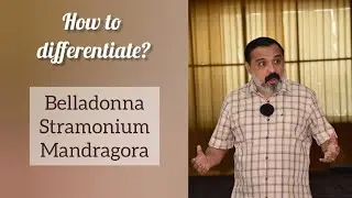 BELLADONNA, STRAMONIUM & MANDRAGORA - SIMILARITY WITH A DIFFERENCE