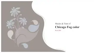 Shades & Tints of Chicago Fog color #cac2bd A Warm Grey color #b3aca8 #9d9693 #cfc8c4 #d5cfcb
