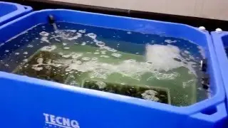 Tecno Impianti International impianto piramidale per crostacei e vasche di depurazione mitili
