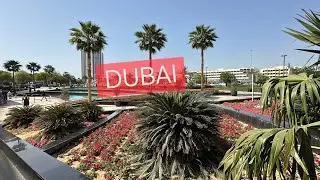 ROAD SIDE VIEW  IN DUBAI || BEAUTIFUL ROAD  IN DUBAI || 