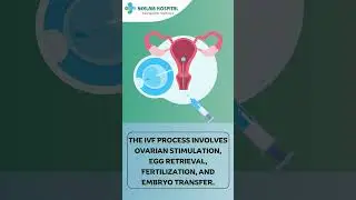 The IVF Experience - What It's Really Like to Go Through Fertility Treatment #neelamhospital