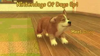 ꫂ❁ Nintendogs of Days Ep1: Meet Covy