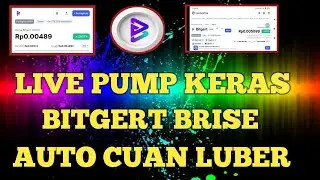 LIVE PUMP BITGERT BRISE !! BRISE MENGGILA DAN ARMT AUTO CUAN