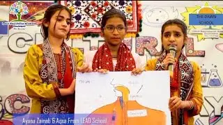 Digestive System | Science & Culture Day | Experiment | At Dawn School Daulatpur.