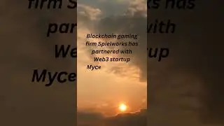 Spielworks has partnered with Web3 startup Mycelium Network to launch a NFT program called Reverties
