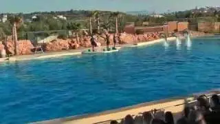 Μια μέρα στο Δελφινάριο του Αττικού Ζωολογικού Πάρκου