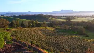 Super Premium Pinot Noir Vineyard Estate, Healdsburg
