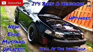 Going on 3 weeks at the Dyno Shop 