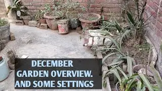 GARDEN OVERVIEW AND SOME GARDEN WORK, CLEANING IN GARDEN @khoobsuratnature6227