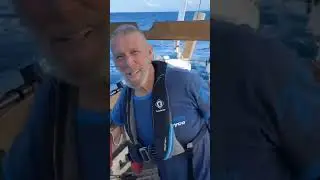 #sailing #westsail #roblovelace #shorts
