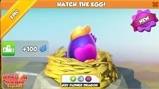 Epic Egg Hatching! Pansy Flower Dragon - Gameplay - Dragon Mania Legends