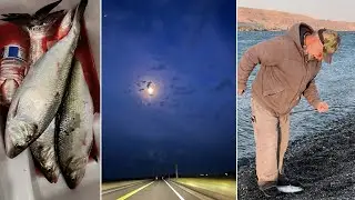 【钓鱼】Three 4AM Shad Fishing Misadventure @ John Day Dam